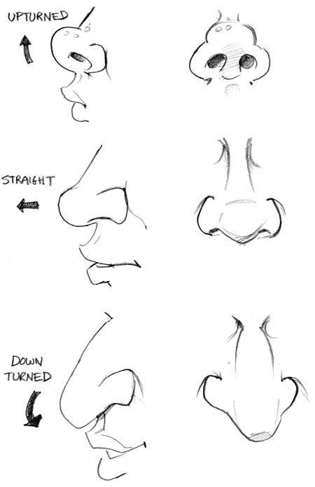 upturned nose drawing
